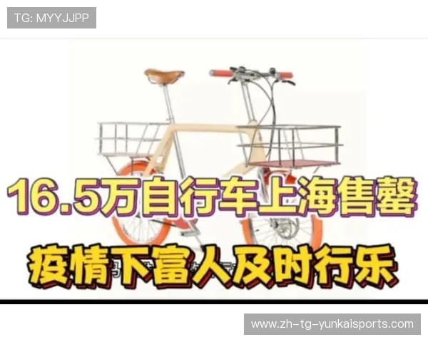 16.5万爱马仕自行车被抢光，网友：四个轮的不如俩轮的……